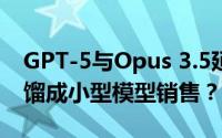GPT-5与Opus 3.5延迟发布之谜：已内部蒸馏成小型模型销售？