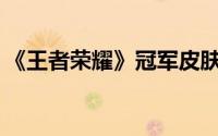 《王者荣耀》冠军皮肤鉴赏：哪款更胜一筹？