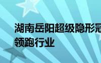 湖南岳阳超级隐形冠军崛起：年收13.9亿，领跑行业
