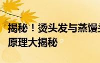 揭秘！烫头发与蒸馒头的惊人相似之处：科学原理大揭秘