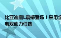 比亚迪唐L震撼登场！采用全新LOONG FACE设计，混动纯电双动力任选