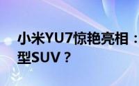 小米YU7惊艳亮相：你梦寐以求的理想中大型SUV？