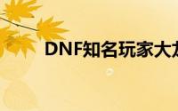 DNF知名玩家大龙猫所属跨区揭秘