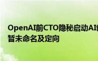 OpenAI前CTO隐秘启动AI创业：招募十位顶尖人才，公司暂未命名及定向