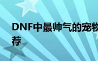 DNF中最帅气的宠物是哪款？深度解析与推荐