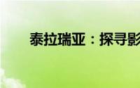泰拉瑞亚：探寻影响力博主及其魅力