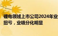 锂电领域上市公司2024年业绩概览：半数企业亏损，仅一家扭亏，业绩分化明显