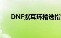  DNF紫耳环精选指南：哪款最适合你？