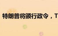 特朗普将颁行政令，TikTok宣布重启美服务