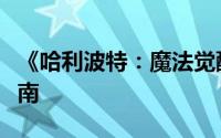 《哈利波特：魔法觉醒》资源高效分配策略指南