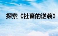 探索《社畜的逆袭》魅力：玩法深度解析
