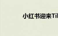 小红书迎来TikTok难民浪潮