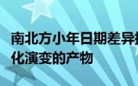 南北方小年日期差异探析：历史传统与民俗文化演变的产物