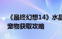 《最终幻想14》水晶世界：揭秘迷你玛格奈宠物获取攻略