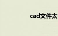 cad文件太大深度清理