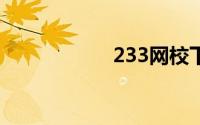 233网校下载到电脑