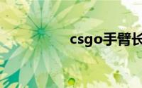 csgo手臂长度参数指令