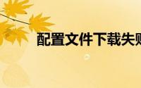 配置文件下载失败客户端无法启动