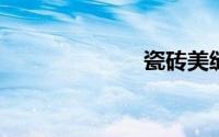 瓷砖美缝剂品牌