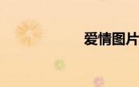 爱情图片爱情带字