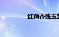 红藕香残玉簟秋读音dan