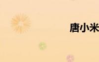 唐小米扮演者