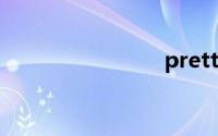 pretty翻译
