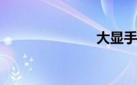 大显手机游戏