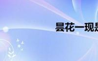 昙花一现是什么生肖