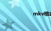 mkv格式播放器