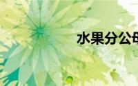 水果分公母蚂蚁庄园
