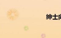 绅士向游戏