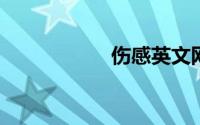 伤感英文网名带翻译