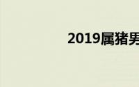 2019属猪男孩名字大全