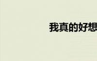 我真的好想你在每一个