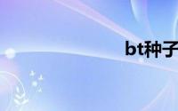 bt种子下载网