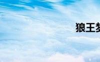 狼王梦好句