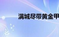 满城尽带黄金甲讲的是什么故事