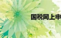 国税网上申报系统网址