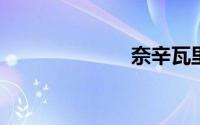奈辛瓦里狩猎队