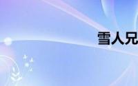 雪人兄弟下载