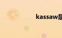 kassaw是什么档次