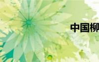 中国柳编之乡
