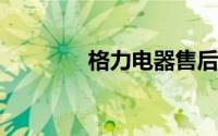 格力电器售后服务管理系统