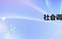 社会调查方法