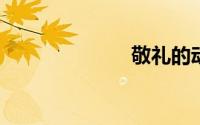 敬礼的动作要领