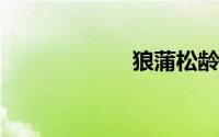 狼蒲松龄原文翻译