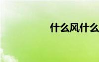 什么风什么雨四字成语