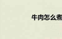 牛肉怎么煮好吃易烂熟