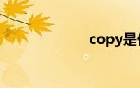copy是什么意思